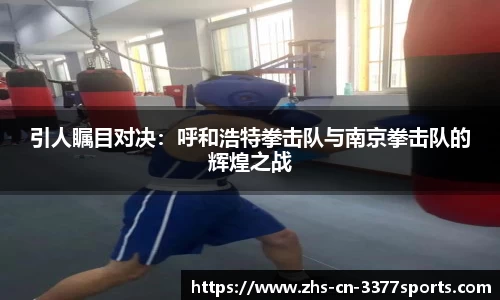 引人瞩目对决:呼和浩特拳击队与南京拳击队的辉煌之战