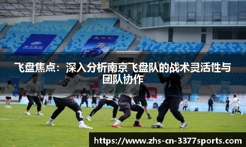 飞盘焦点:深入分析南京飞盘队的战术灵活性与团队协作